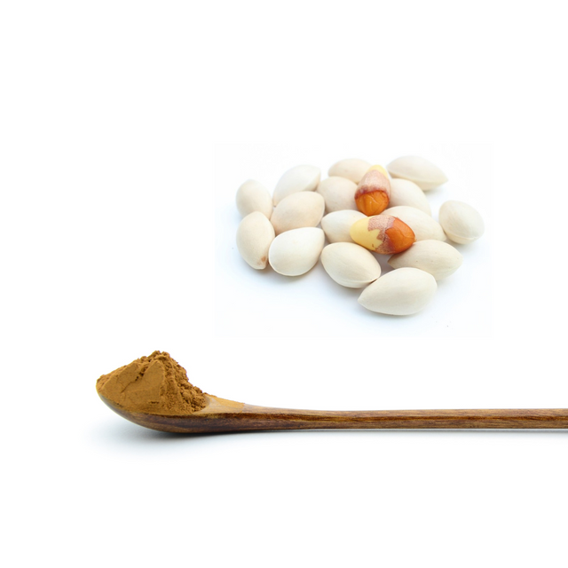 Extrato de Semente de Ginkgo