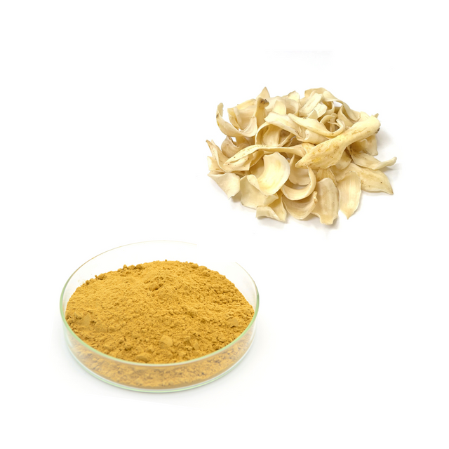 Extrato de bulbo de lírio