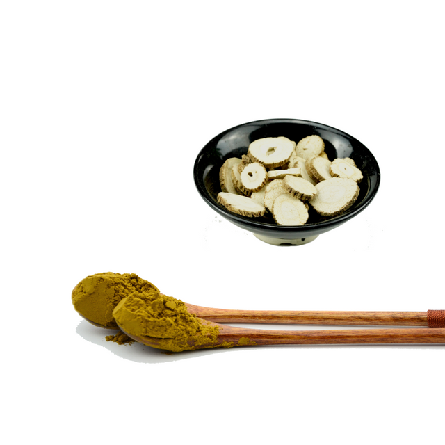 Extrato de Raiz de Angélica Dahurica