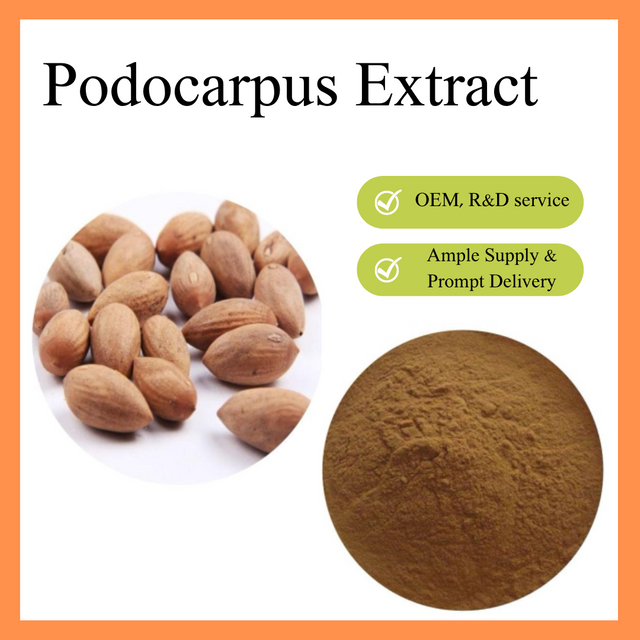 Extrato de Podocarpo