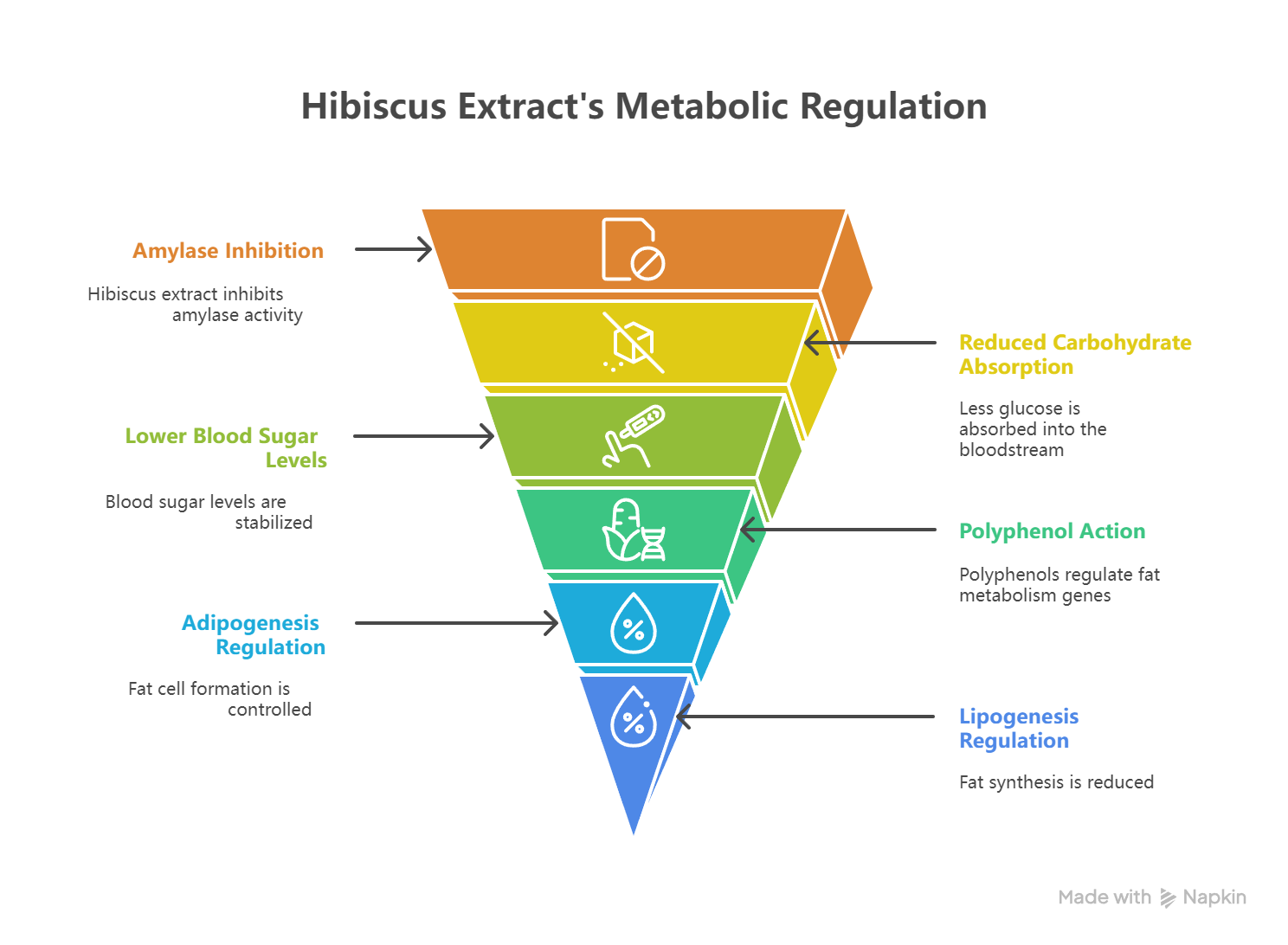 ~!phoenix_varIMG18!~