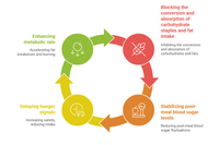 <h4><span style="font-size:36px;"><span style="font-family:Abril Fatface;">Sorpolix™: Mecanismo </span></span></h4> <link href="https://fonts.googleapis.com/css?family=Abril Fatface" rel="stylesheet" type="text/css">