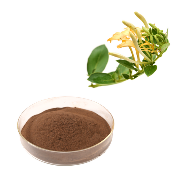 Extrato de madressilva