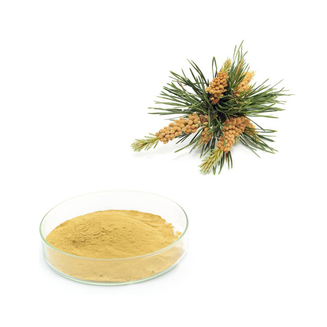 Extrato de Pólen de Pinheiro