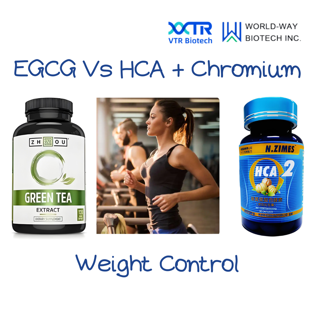 EGCG e HCA + cromo: uma combinação poderosa para perda de peso natural