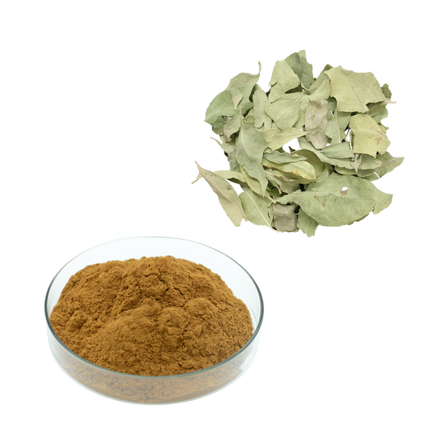 Extrato de Folha de Dogbane Azulado