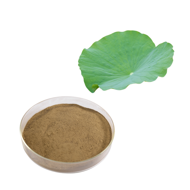 Extrato de Folha de Lótus