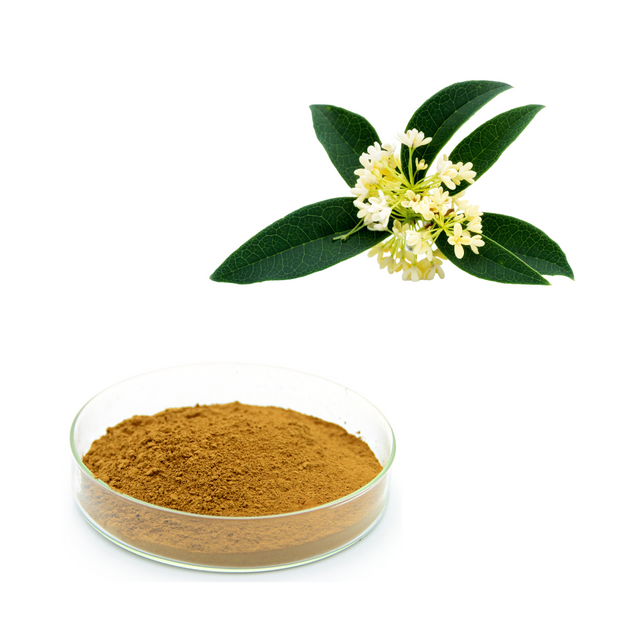 EXTRATO DE FLOR DE OSMANTHUS FRAGRÂNS