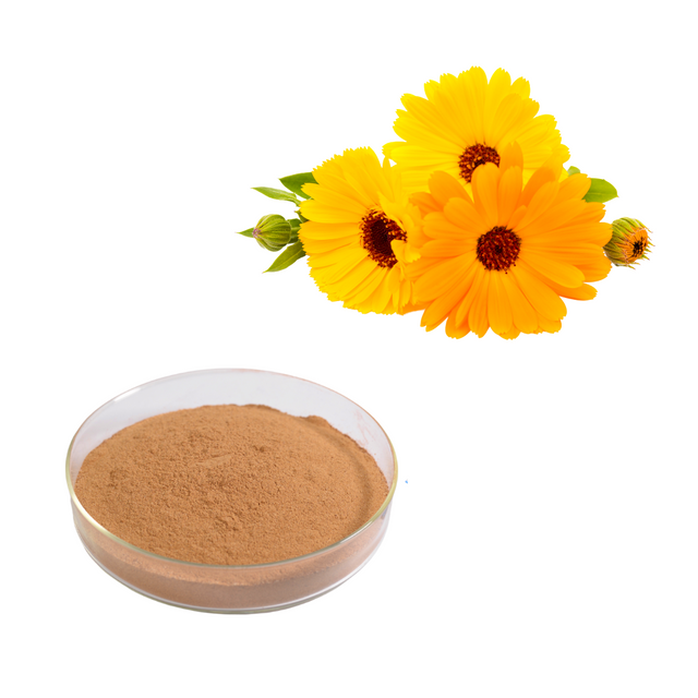 Extrato de Calêndula Officinalis
