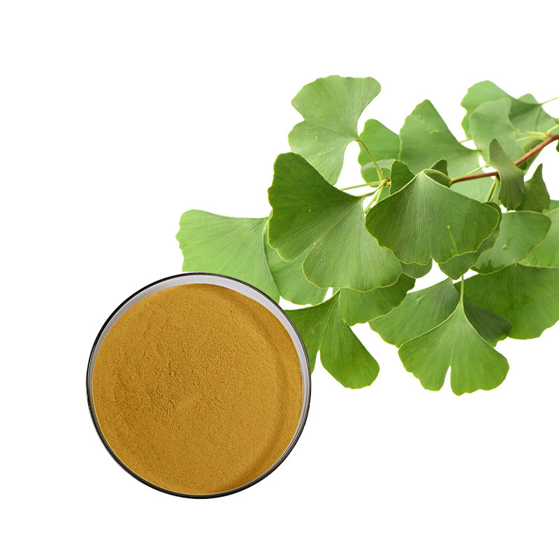 O poder do extrato de Ginkgo Biloba apoiado pela ciência