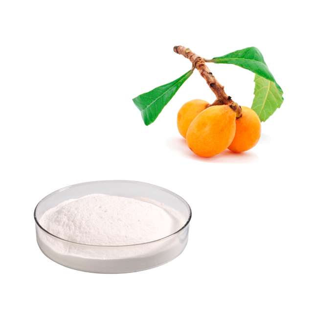  Extrato de folha de nêspera