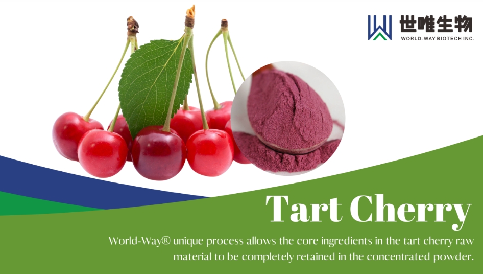 Nutrição esportiva --- Extrato de cereja azeda