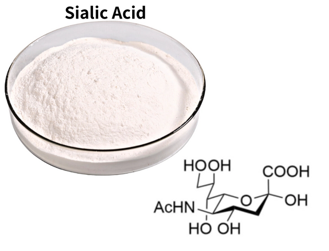 Ácido Siálico