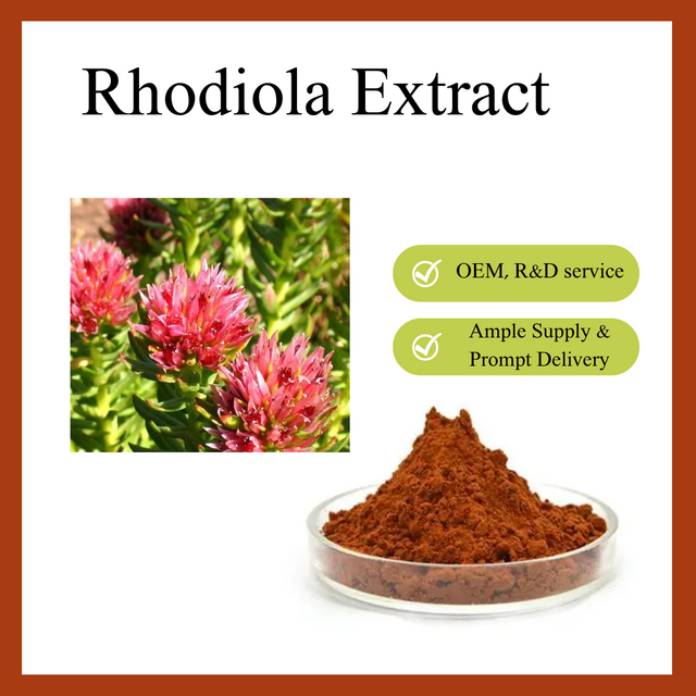 Extrato de Rhodiola