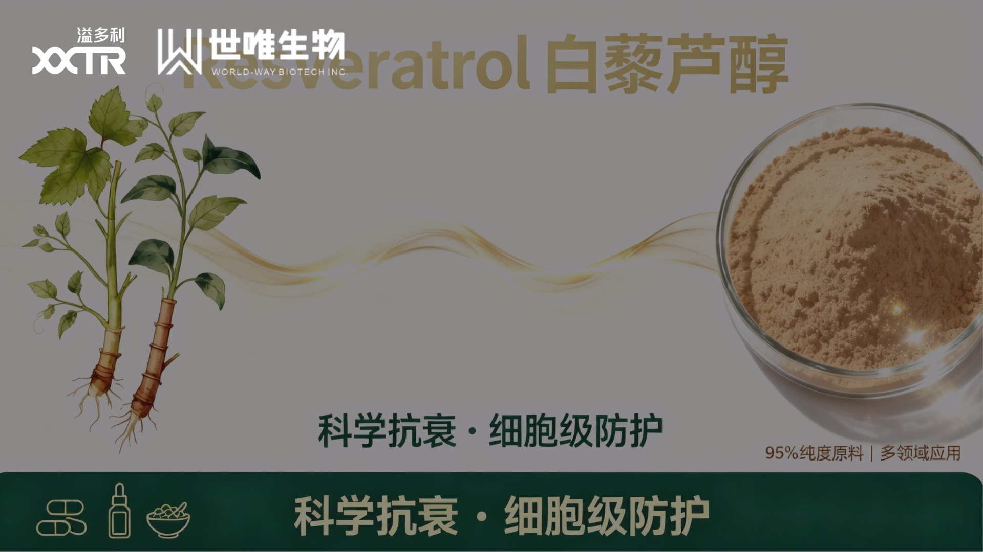 Cuidados com a pele com resveratrol: reduz linhas finas, combate o fotoenvelhecimento UV