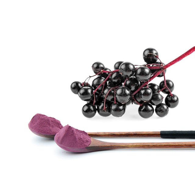 Extrato de Sabugueiro Preto 