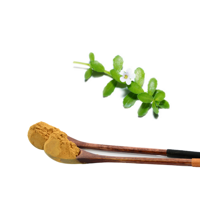 Extrato de Bacopa Monnieri