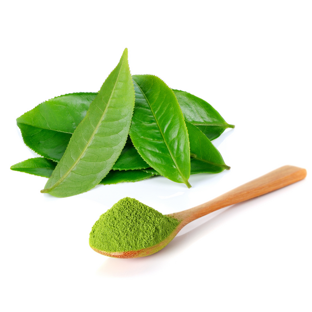 Extrato de Chá Verde