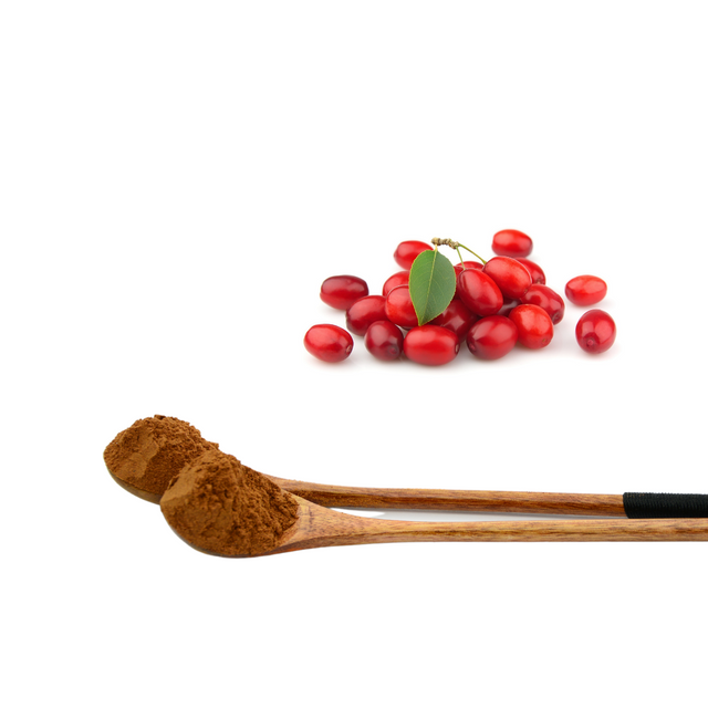 Extrato de Cornus Officinalis