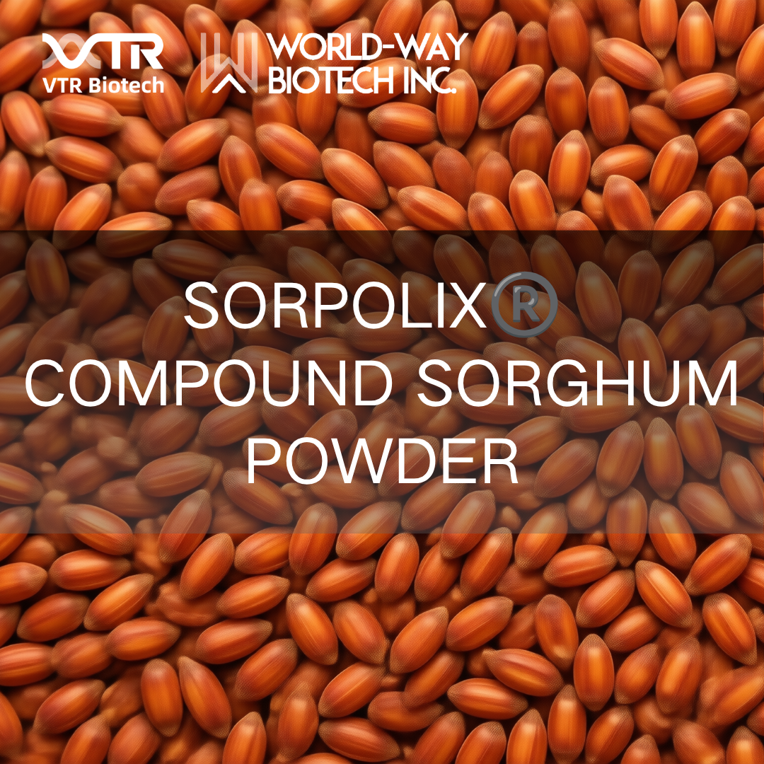 Pó de sorgo composto Sorpolix®: uma solução quadridimensional de cadeia completa para controle glicêmico e lipídico