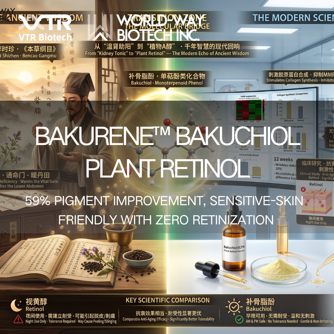 Por trás da melhoria de 59% na hiperpigmentação —— Como o World-Way Bakurene™ Bakuchiol supera o retinol por meio de uma rede de interruptores moleculares