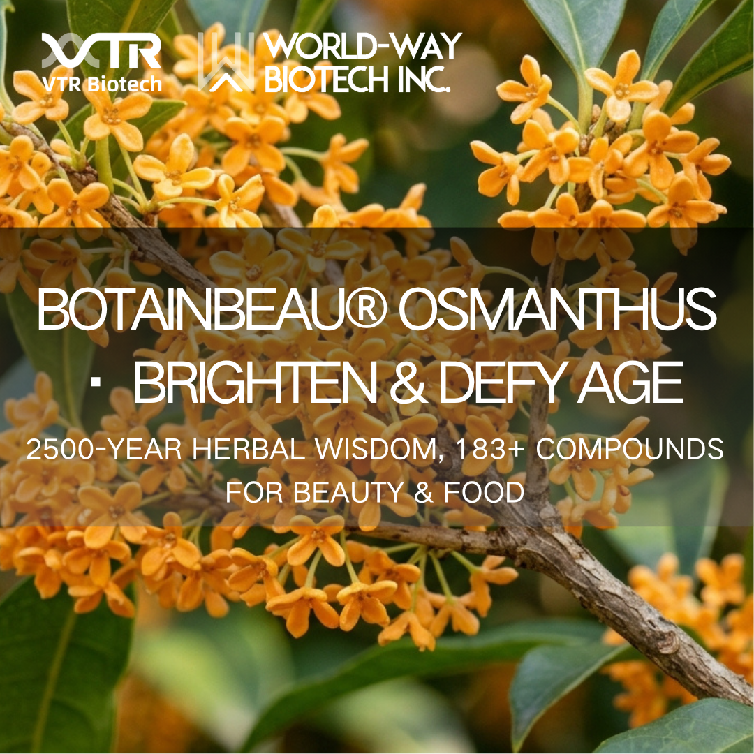 Pó concentrado Botainbeau® Osmanthus: a ciência por trás de uma antiga flor de beleza