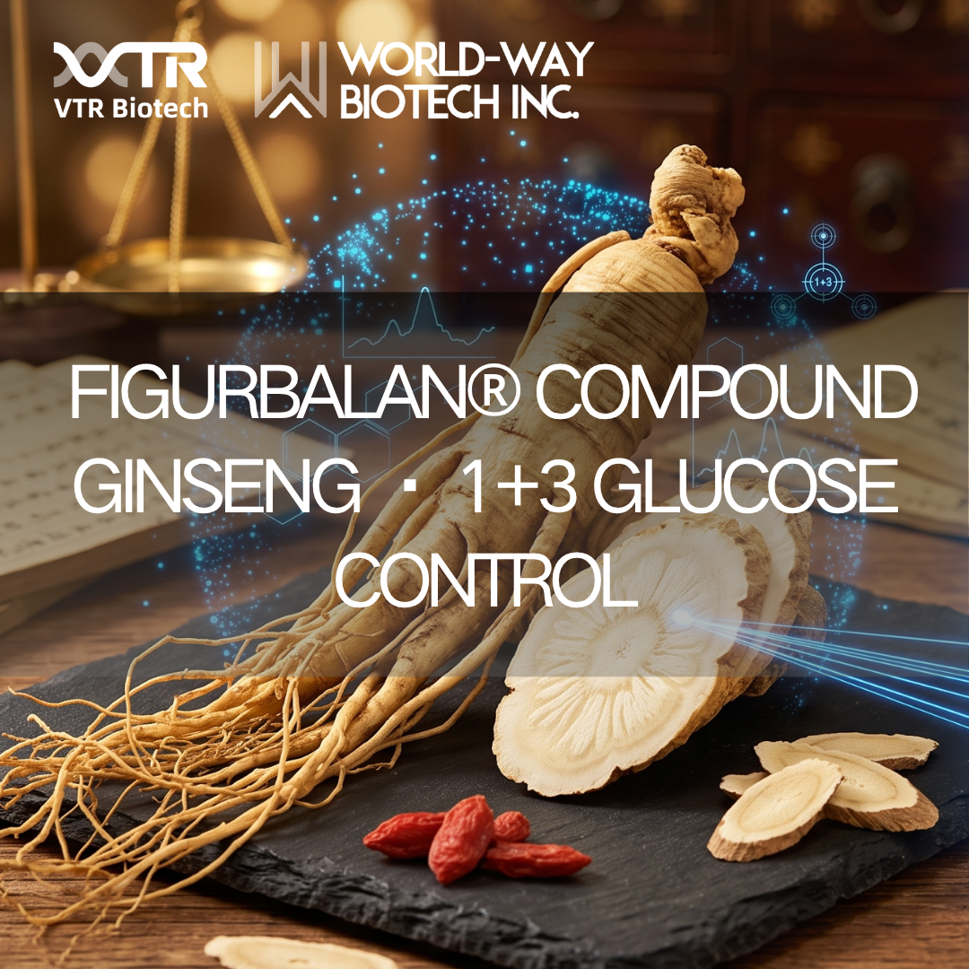 Além do Ginseng sozinho: como a rede multi-alvo '1+3' do Figurbalan® Compound Ginseng Powder redefine o gerenciamento da glicose