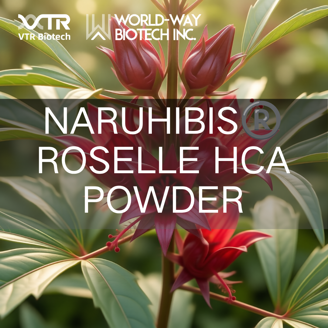 Pó Naruhibis® Roselle HCA: uma solução natural de alta potência para controle de peso com base científica