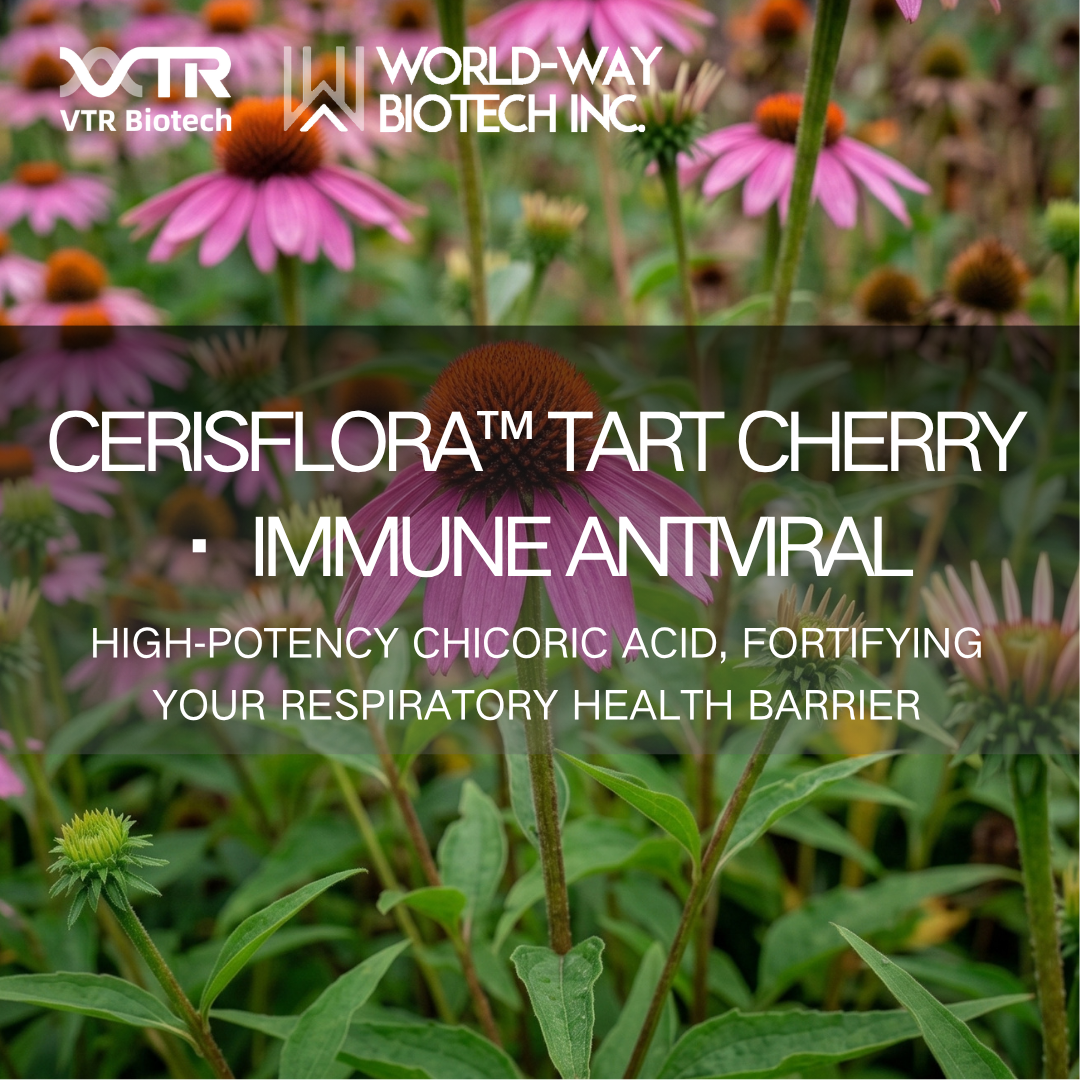 Extrato de Extrato de Echinacea Purpurea World‑Way (Ácido Chicórico) – Modulação Imunológica e Proteção Antiviral