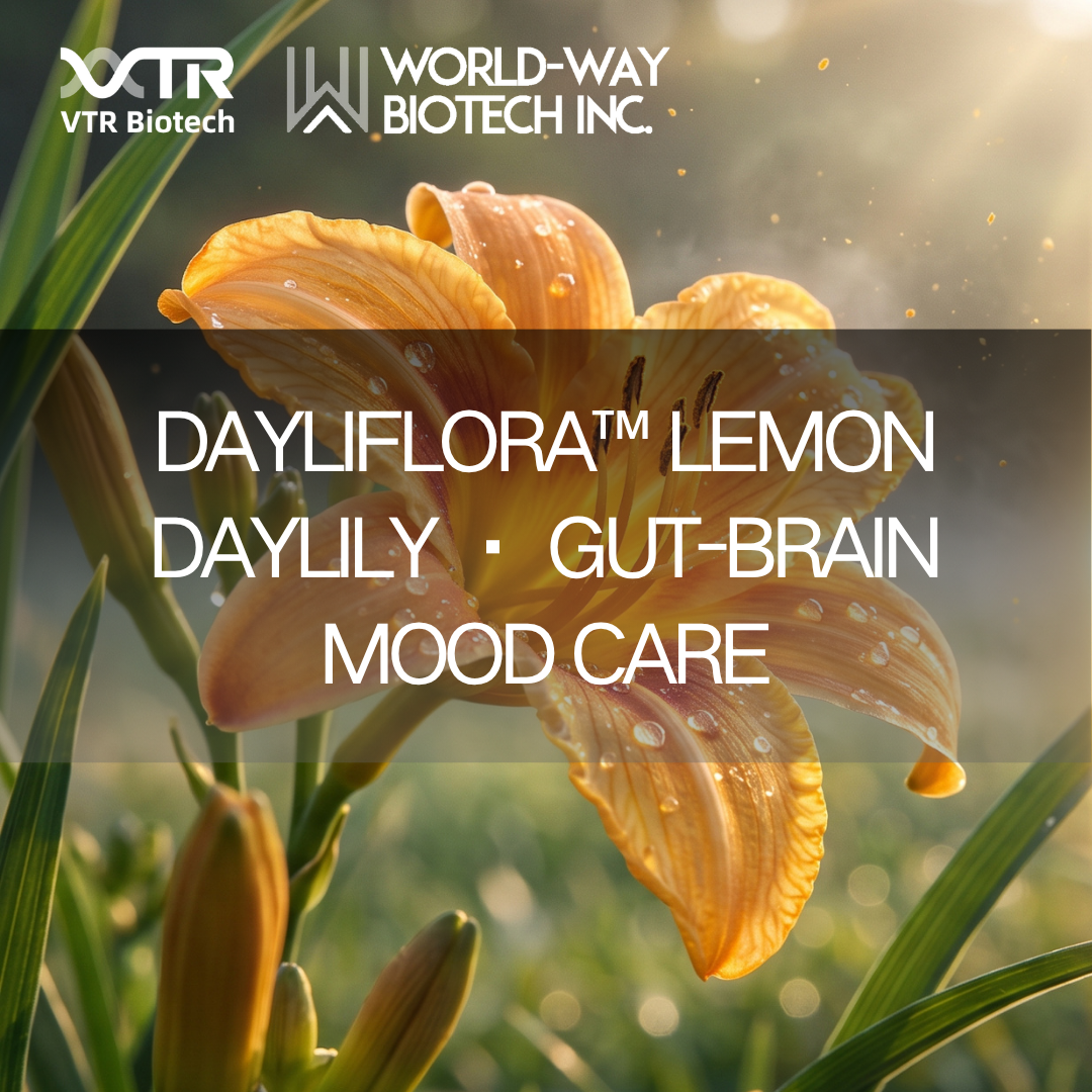 Extrato de Dayliflora™Daylily: Dopamina derivada do intestino para equilíbrio natural do humor