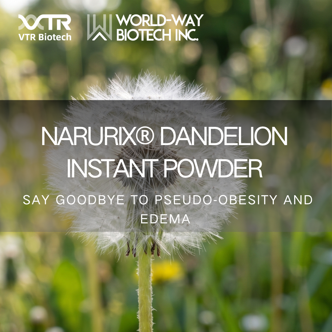 Narurix® Dandelion Instant Powder (sabor café) – Alívio da umidade e saúde metabólica